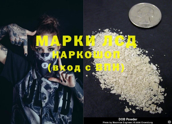 ГАЛЛЮЦИНОГЕННЫЕ ГРИБЫ Балабаново